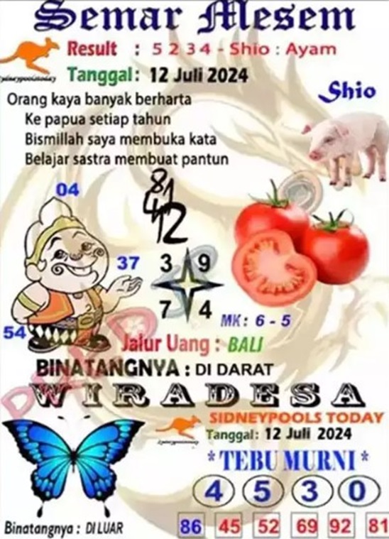SYAIR SDY VIP